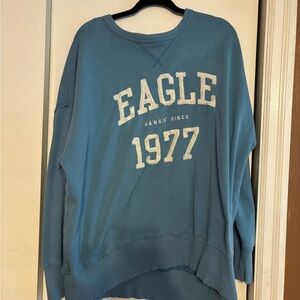 American Eagle Outfitters Blue Crew Neck Sweater
